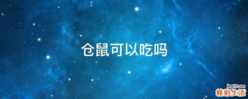 仓鼠可以吃吗