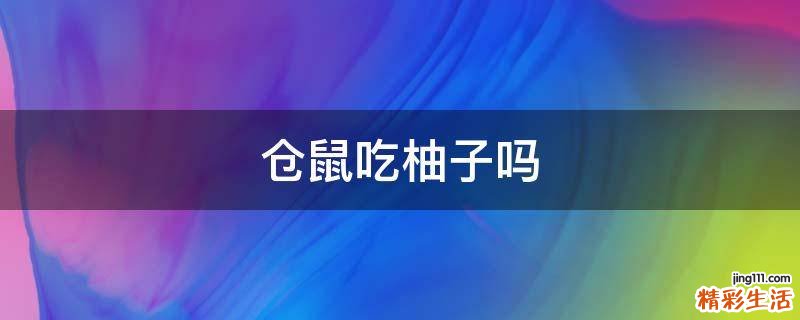 仓鼠吃柚子吗