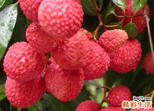 荔枝味美多吃上火？我有妙招！
