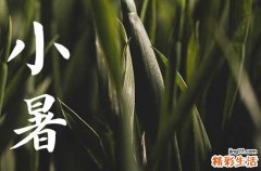 2023小暑过后热吗