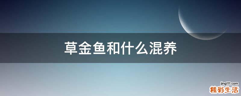 草金鱼和什么混养