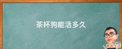 茶杯狗能活多久