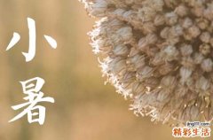 2023小暑后几天进入伏天