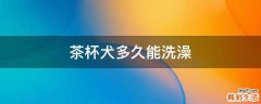 茶杯犬多久能洗澡