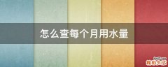 怎么查每个月用水量