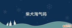 柴犬淘气吗