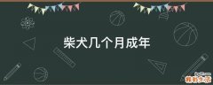柴犬几个月成年