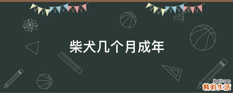柴犬几个月成年