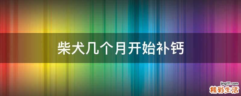 柴犬几个月开始补钙