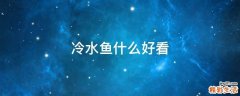 冷水鱼什么好看