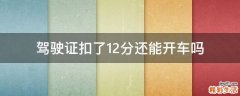 驾驶证扣了12分还能开车吗