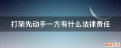打架先动手一方有什么法律责任