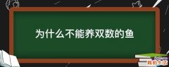 为什么不能养双数的鱼