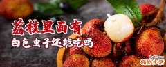 荔枝里面有白色虫子还能吃吗 荔枝里面白色的虫子有毒吗