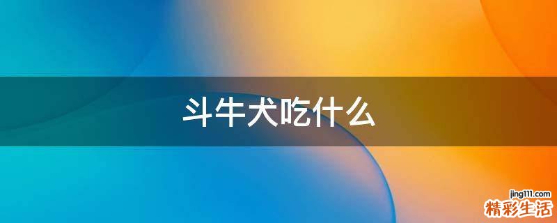 斗牛犬吃什么