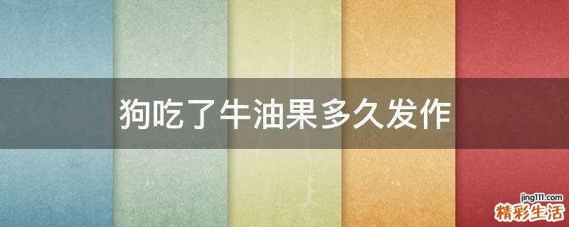 狗吃了牛油果多久发作