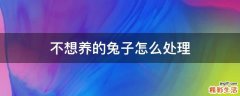 不想养的兔子怎么处理