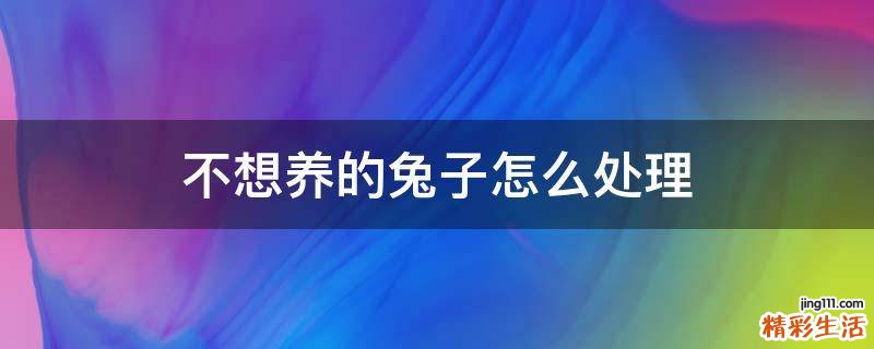不想养的兔子怎么处理