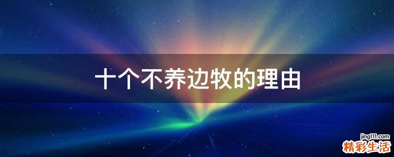 十个不养边牧的理由