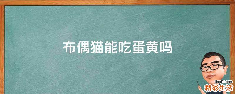 布偶猫能吃蛋黄吗