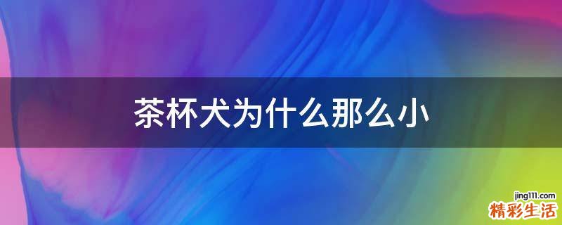 茶杯犬为什么那么小