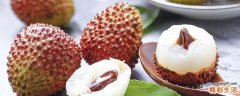 荔枝怎么保存时间长一点 新鲜荔枝为什么要泡在水里