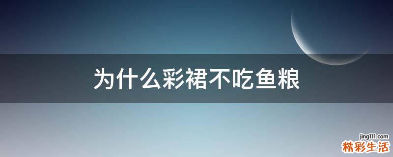 为什么彩裙不吃鱼粮