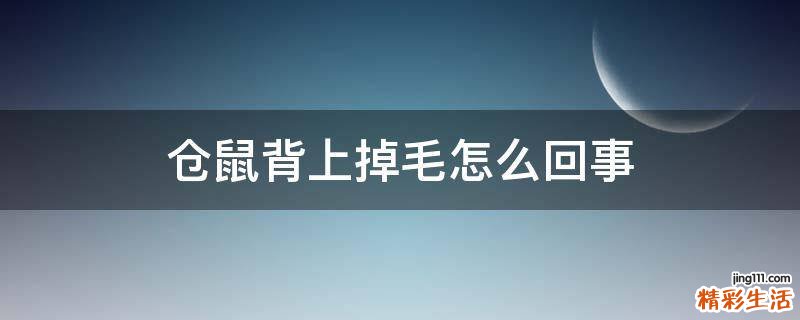 仓鼠背上掉毛怎么回事