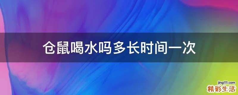 仓鼠喝水吗多长时间一次