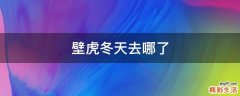 壁虎冬天去哪了