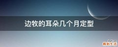 边牧的耳朵几个月定型