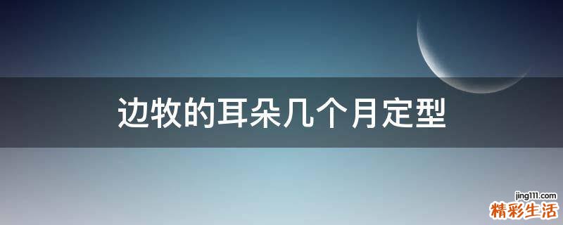 边牧的耳朵几个月定型