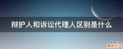 辩护人和诉讼代理人区别是什么