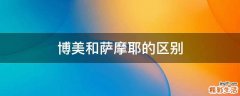 博美和萨摩耶的区别