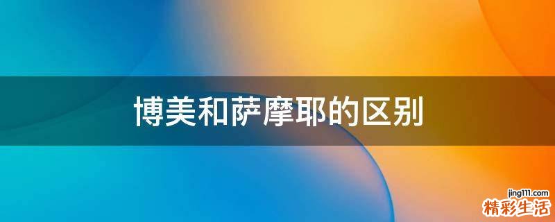 博美和萨摩耶的区别