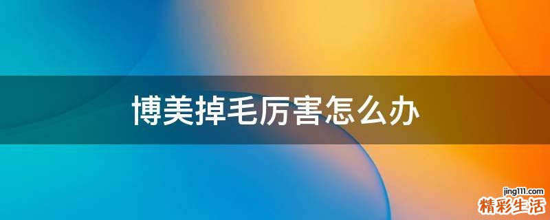博美掉毛厉害怎么办