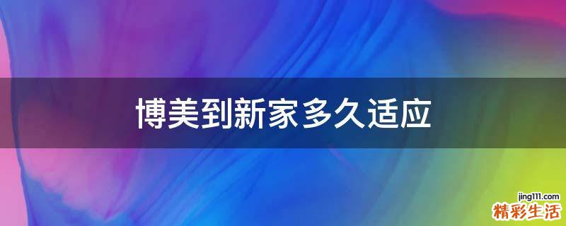 博美到新家多久适应
