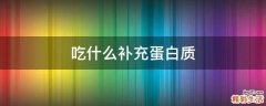 吃什么补充蛋白质