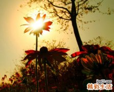中国女性更渴望高职位