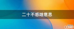 二十不惑啥意思