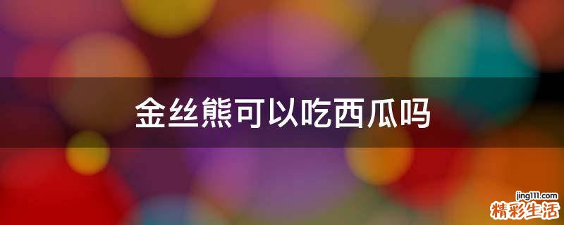 金丝熊可以吃西瓜吗