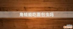 角蛙能吃面包虫吗