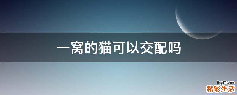 一窝的猫可以交配吗