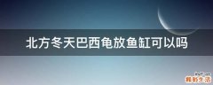 北方冬天巴西龟放鱼缸可以吗