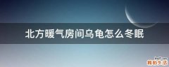 北方暖气房间乌龟怎么冬眠
