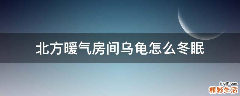 北方暖气房间乌龟怎么冬眠