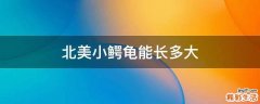 北美衸昴艹ざ啻?