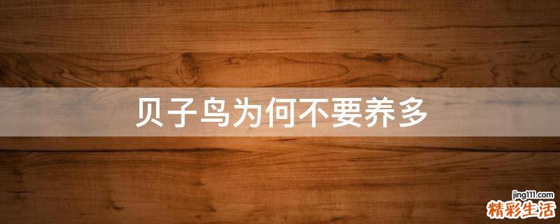 贝子鸟为何不要养多