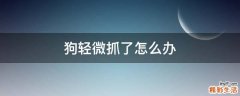 狗轻微抓了怎么办