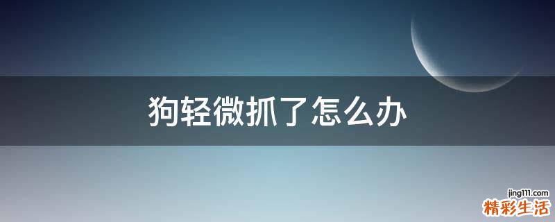 狗轻微抓了怎么办